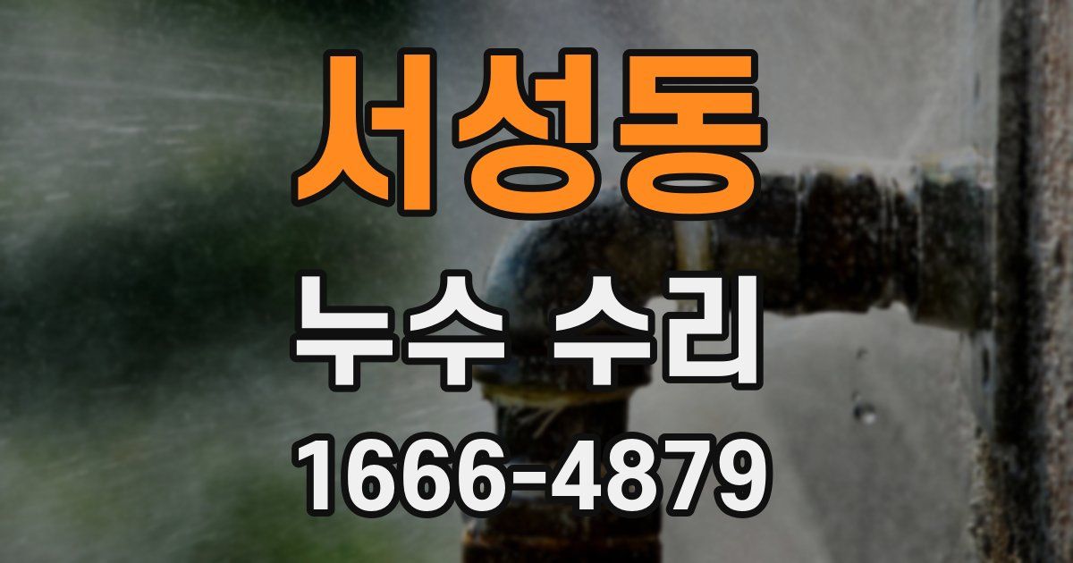 서성동 누수 수리