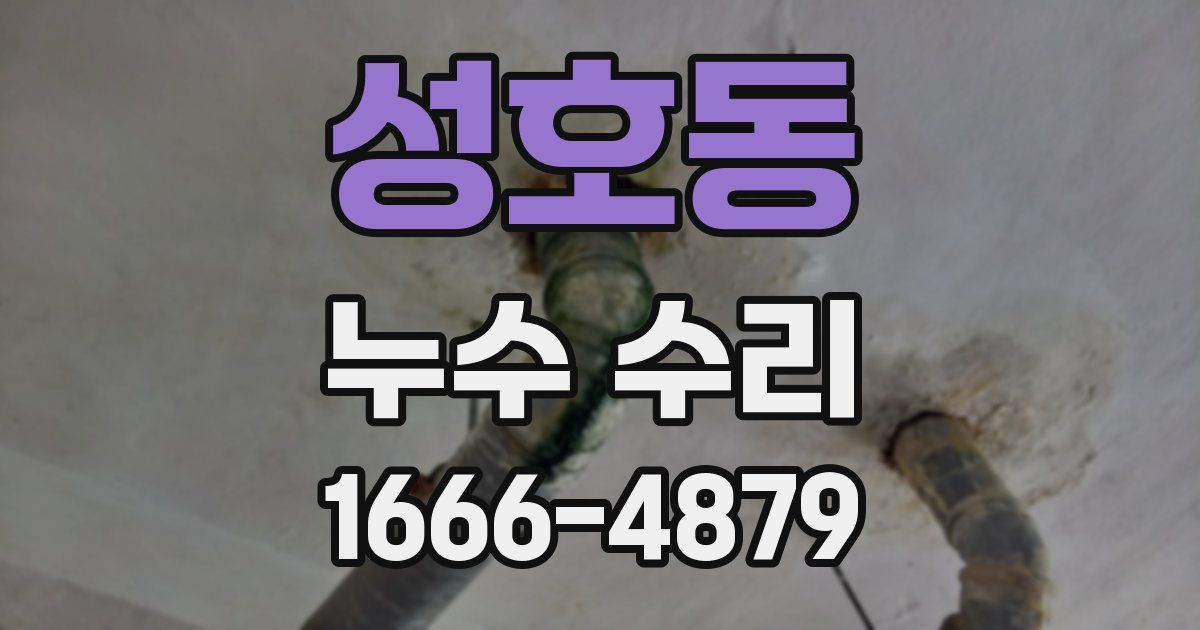성호동 누수 수리