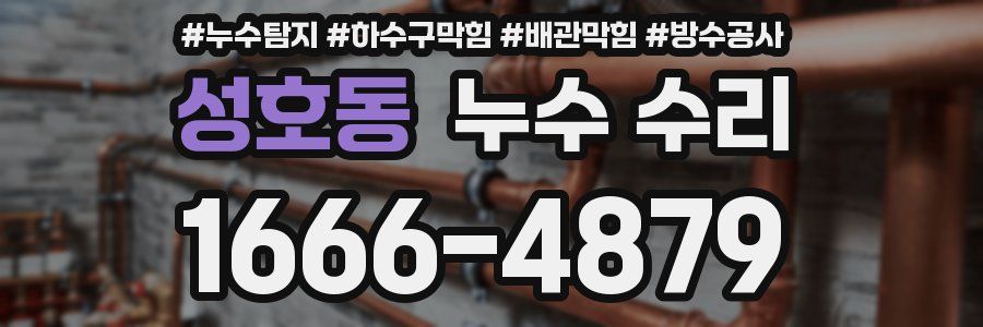 성호동 누수 수리