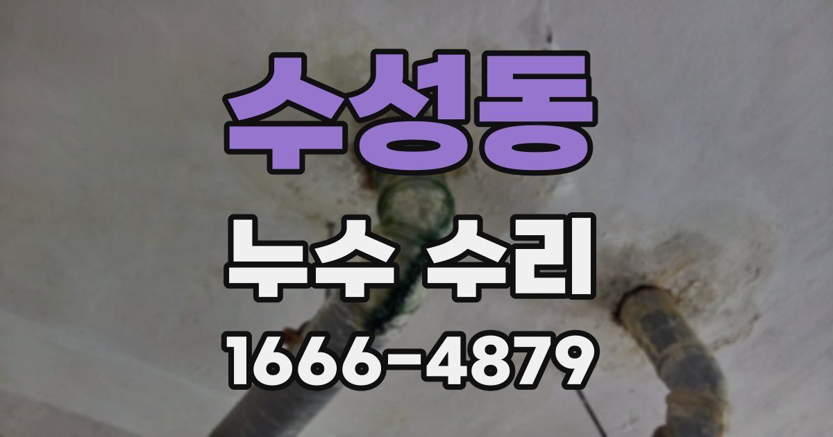 수성동 누수 수리