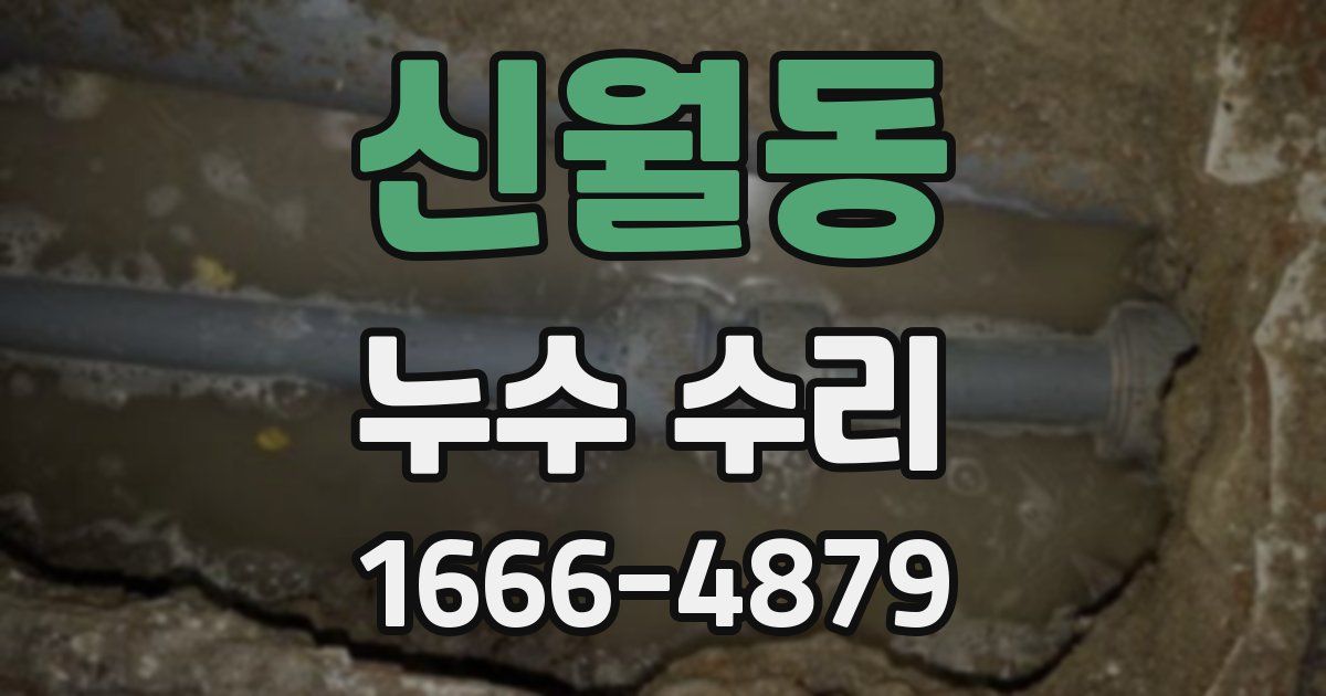신월동 누수 수리
