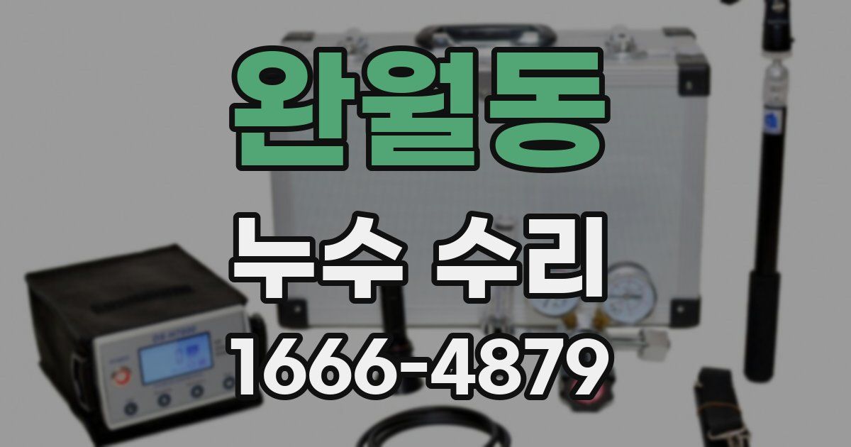 완월동 누수 수리