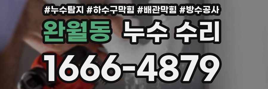 완월동 누수 수리