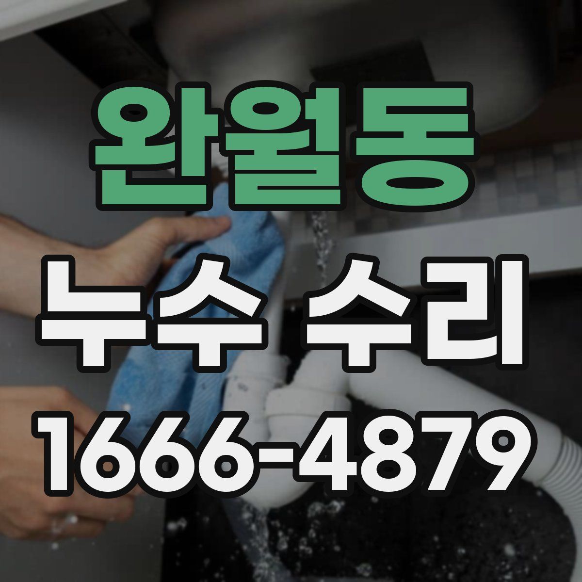 완월동 누수 수리