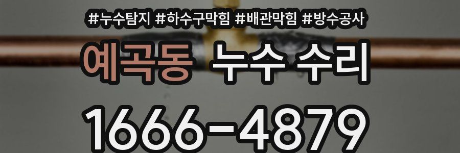 예곡동 누수 수리