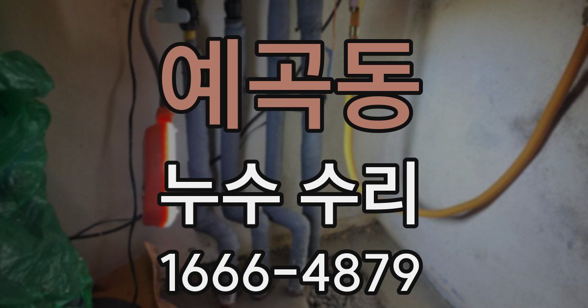 예곡동 누수 수리