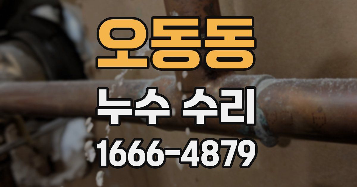 오동동 누수 수리