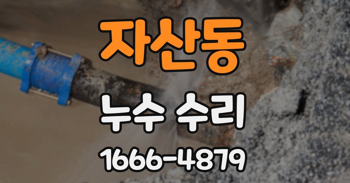 자산동 누수 수리