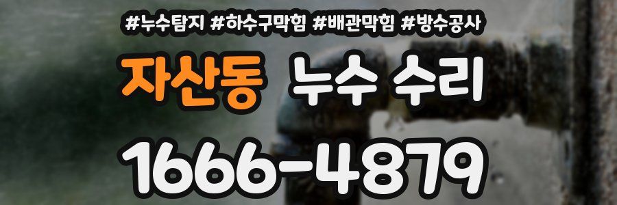 자산동 누수 수리