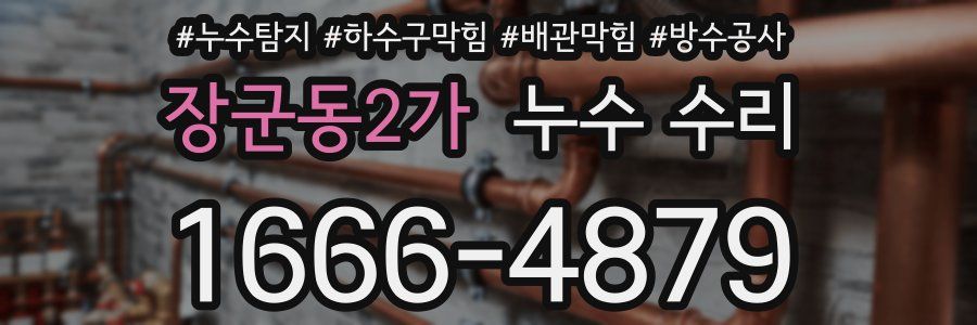 장군동2가 누수 수리