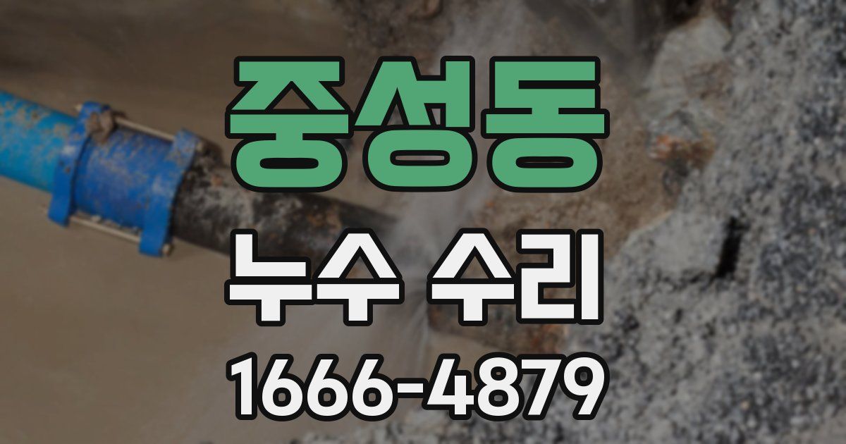 중성동 누수 수리