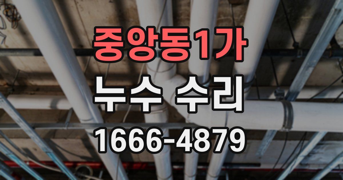 중앙동1가 누수 수리