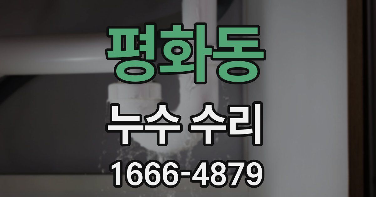 평화동 누수 수리