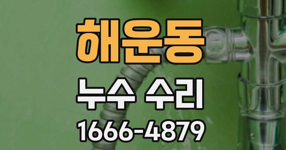 해운동 누수 수리