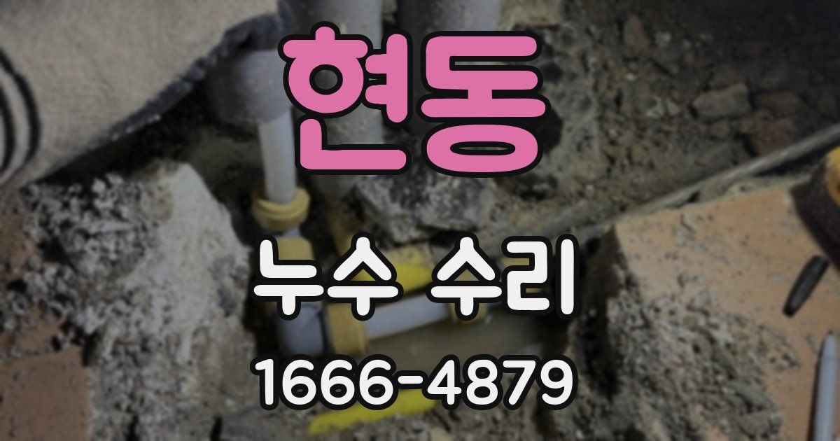 현동 누수 수리
