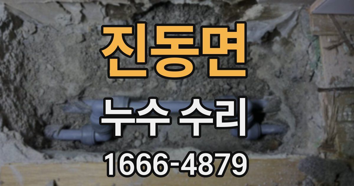 진동면 누수 수리