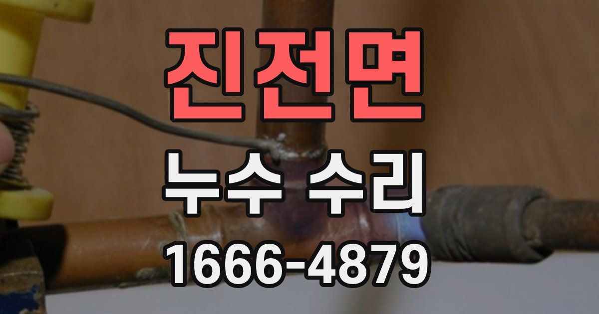 진전면 누수 수리