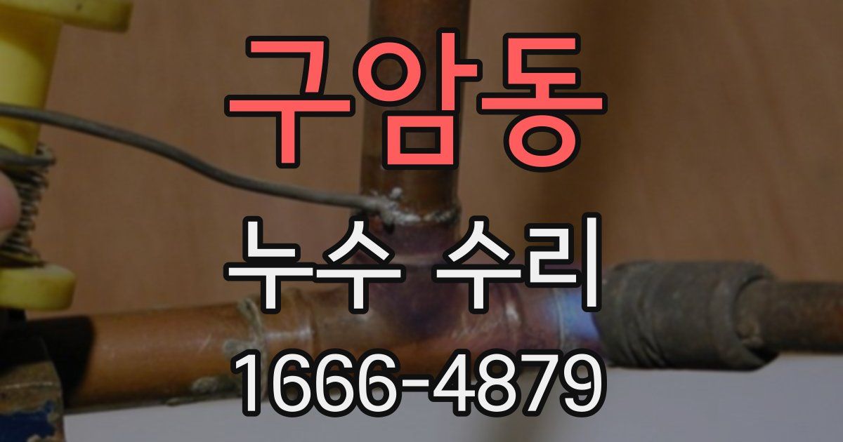 구암동 누수 수리
