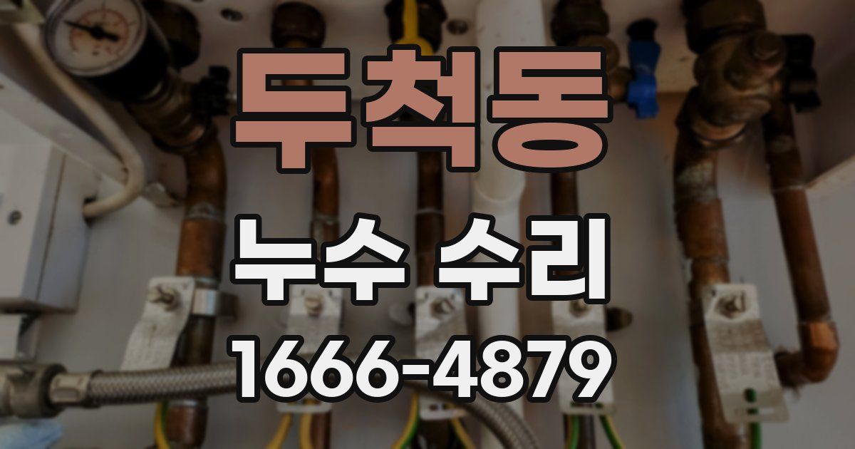 두척동 누수 수리