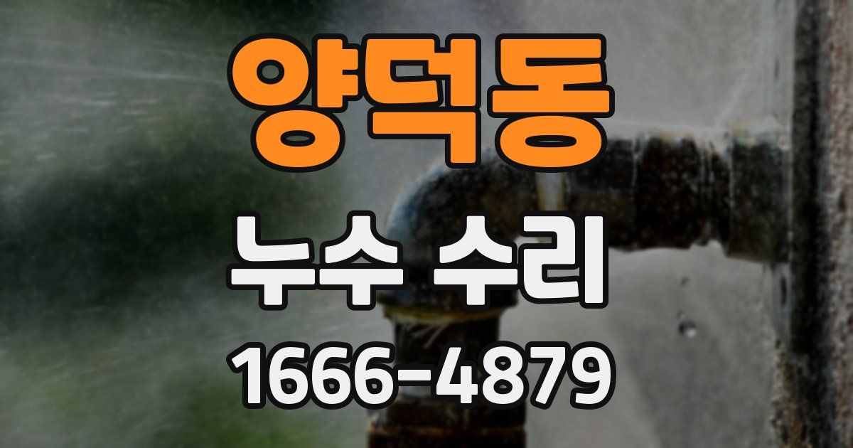 양덕동 누수 수리