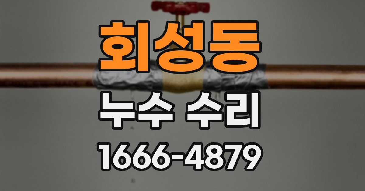 회성동 누수 수리