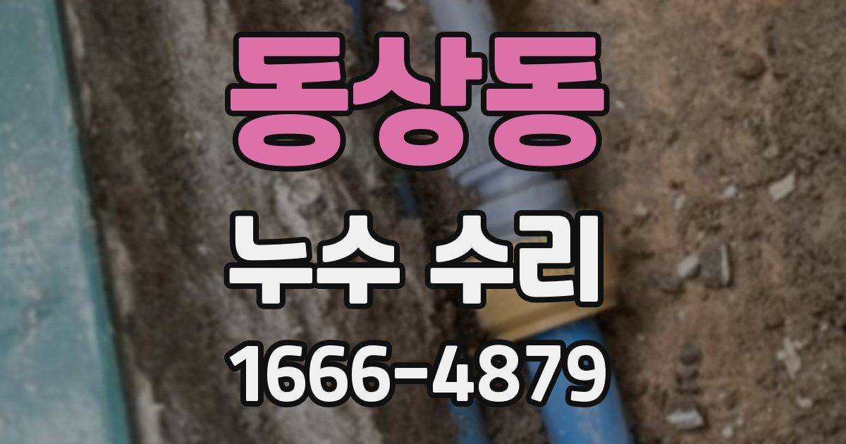 동상동 누수 수리