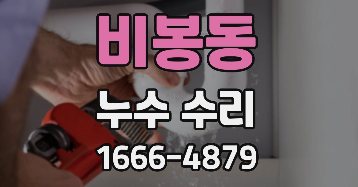 비봉동 누수 수리