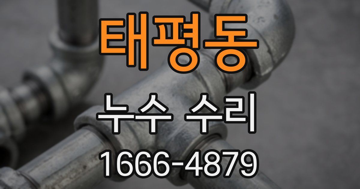 태평동 누수 수리