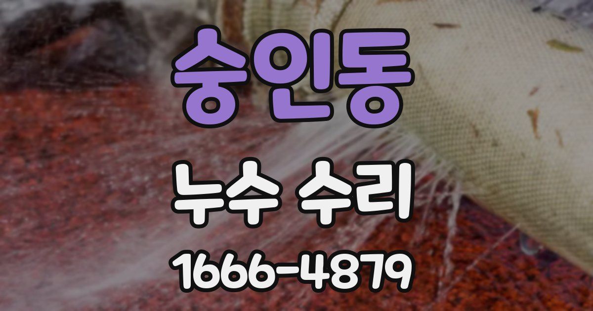 숭인동 누수 수리