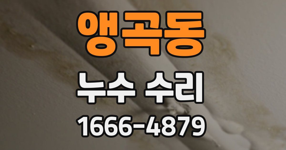앵곡동 누수 수리
