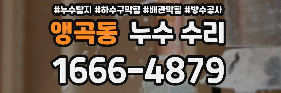 앵곡동 누수 수리