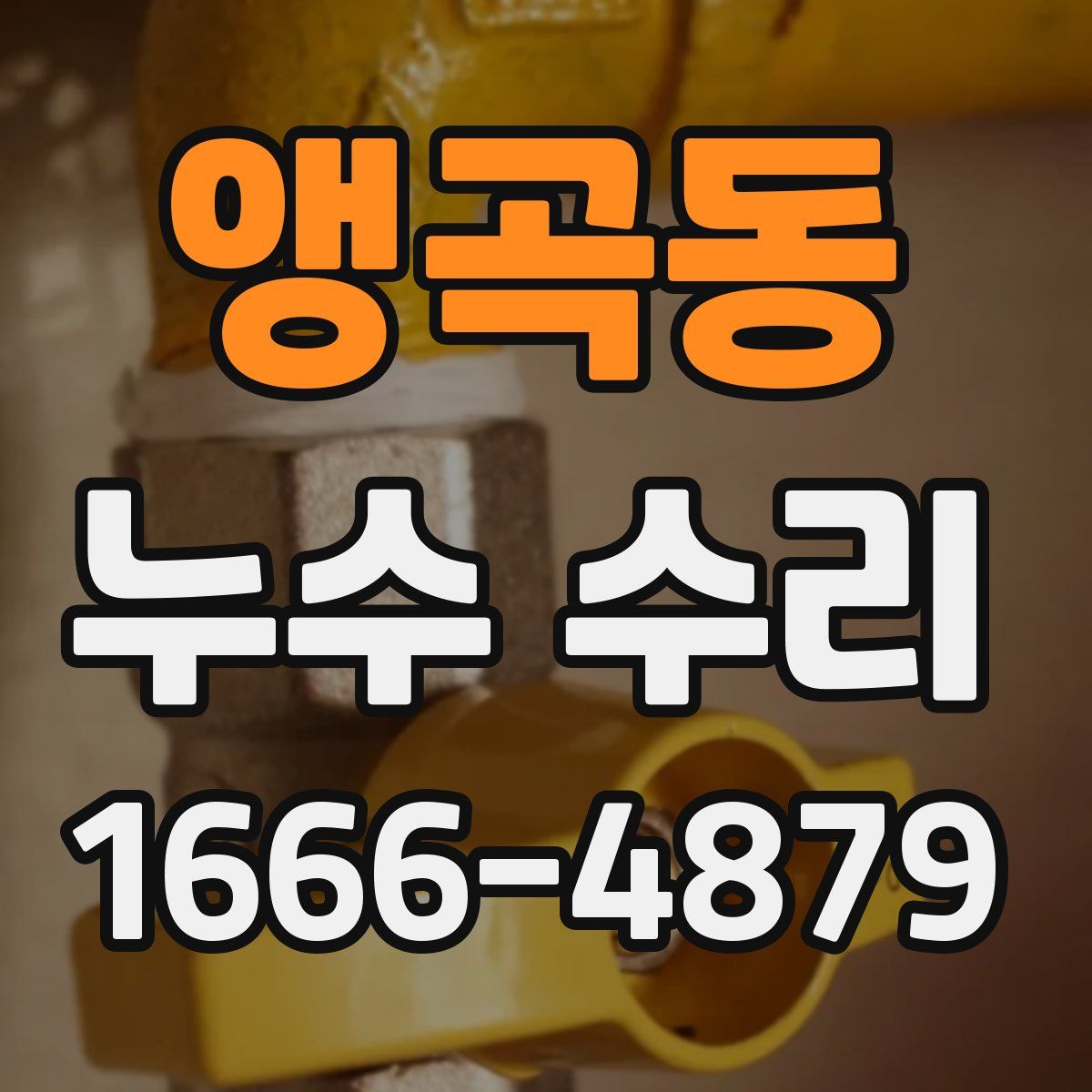 앵곡동 누수 수리