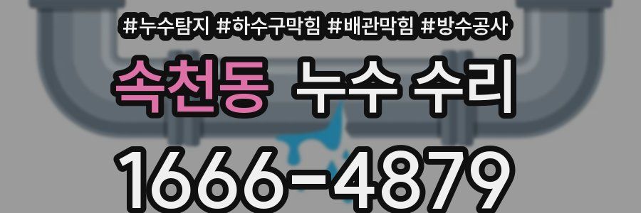 속천동 누수 수리