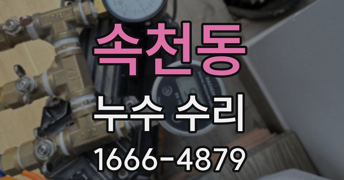 속천동 누수 수리