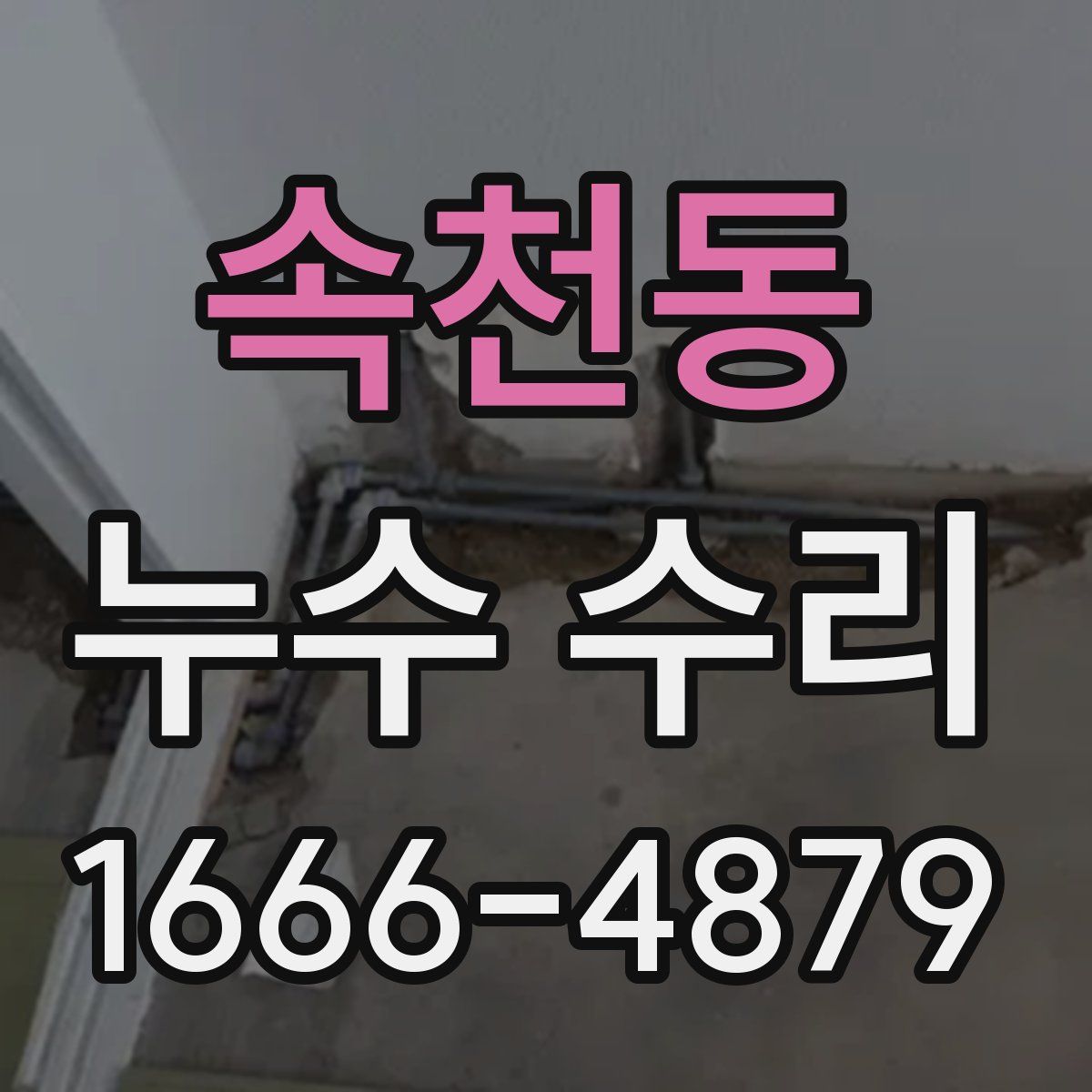 속천동 누수 수리