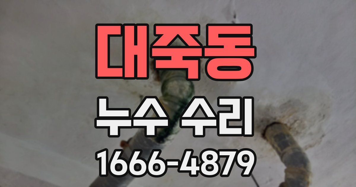 대죽동 누수 수리