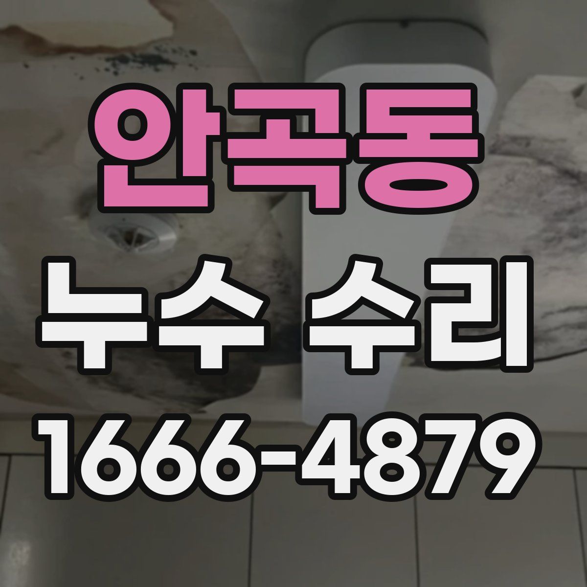 안곡동 누수 수리