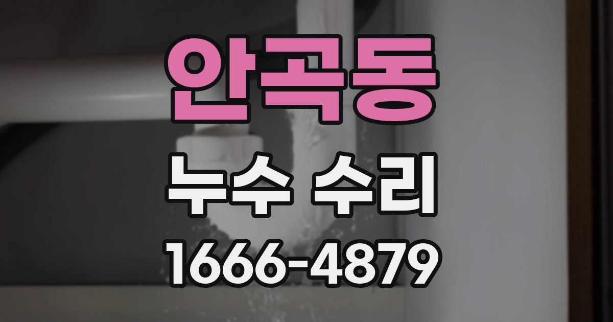 안곡동 누수 수리