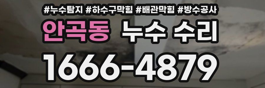안곡동 누수 수리