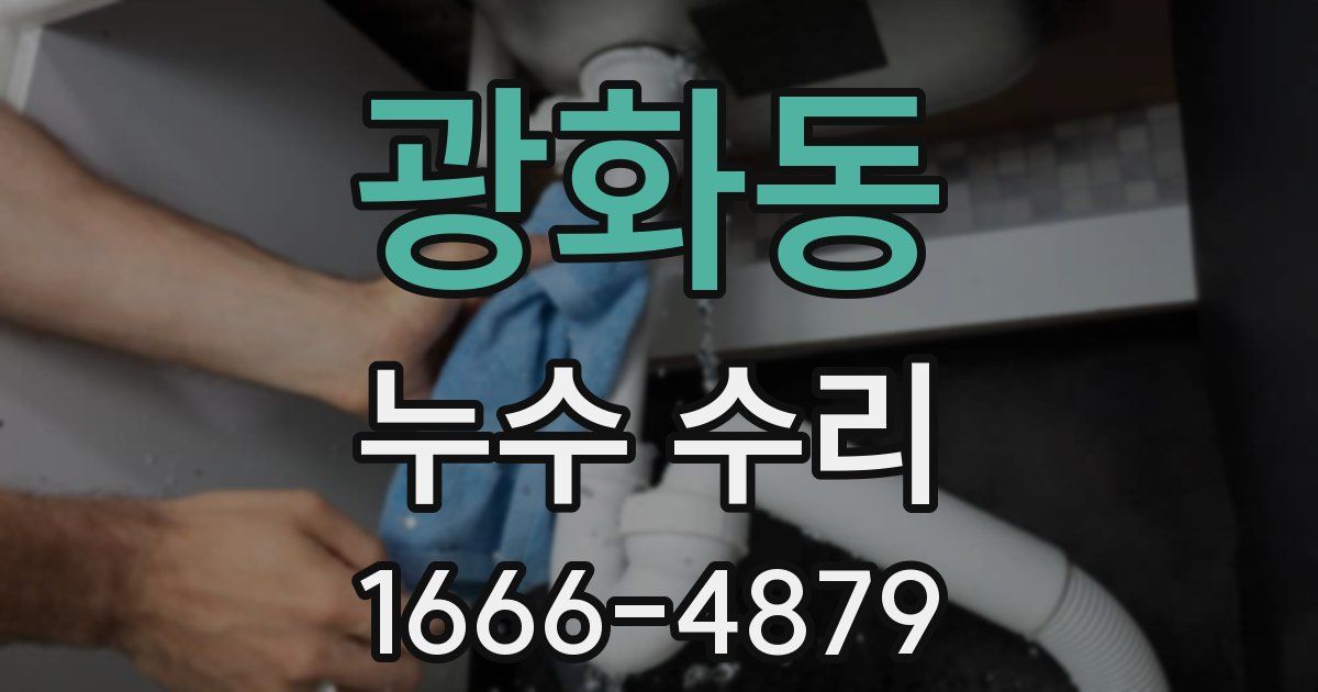 광화동 누수 수리