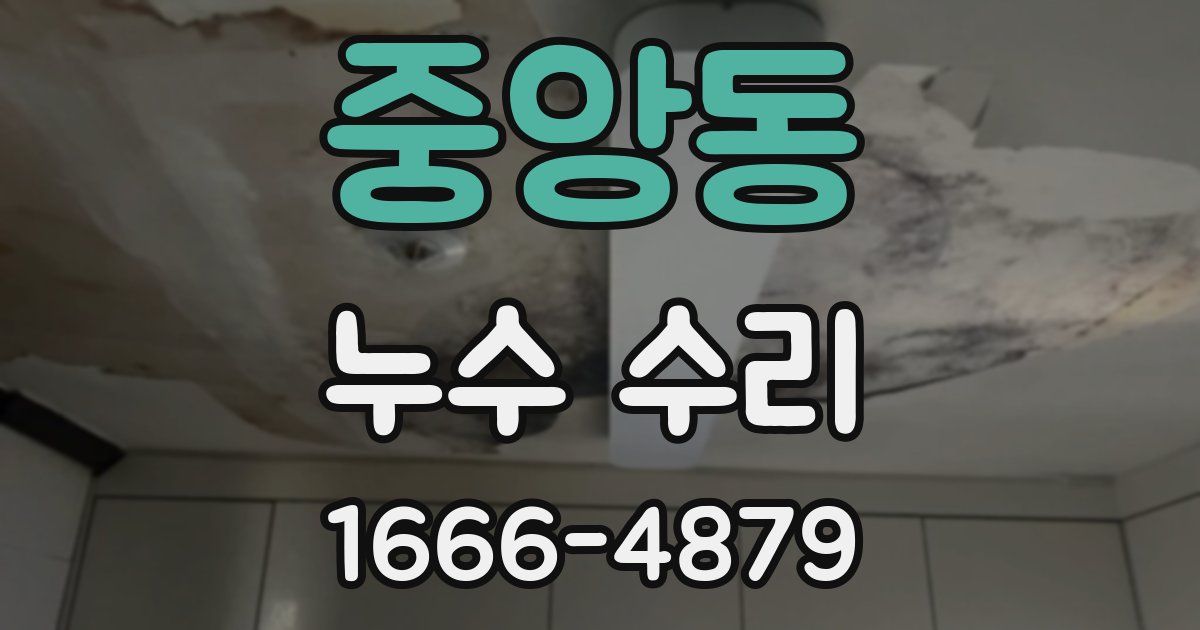 중앙동 누수 수리