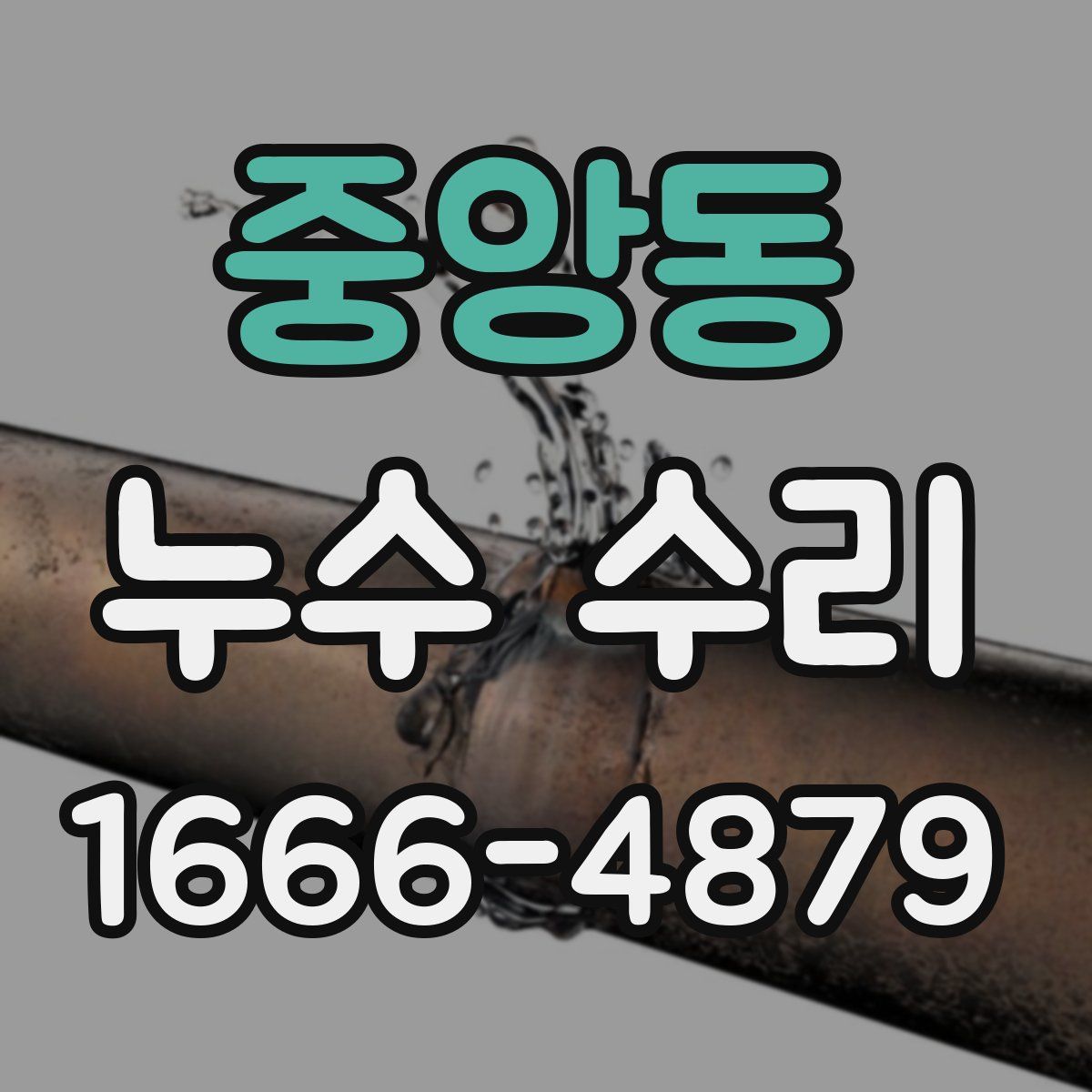 중앙동 누수 수리