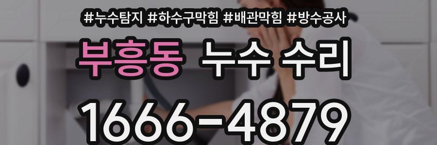 부흥동 누수 수리