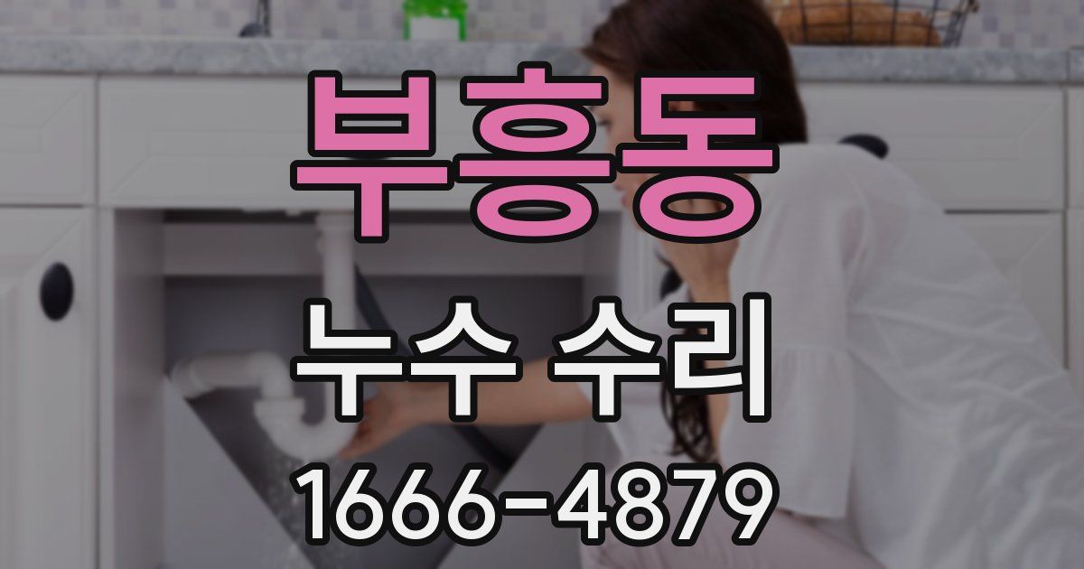 부흥동 누수 수리