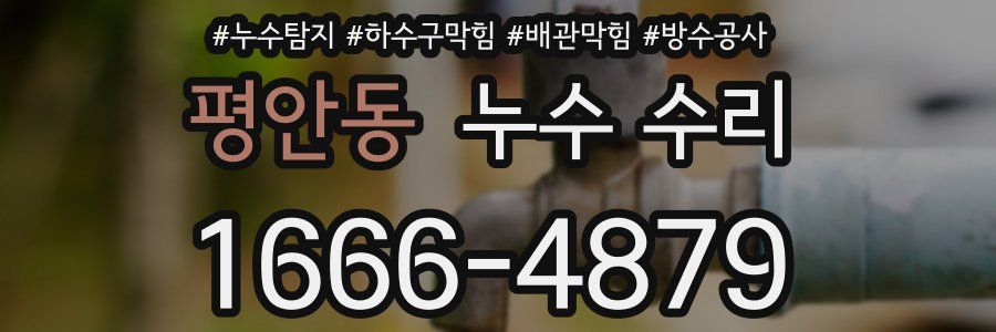 평안동 누수 수리
