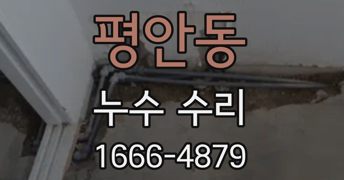 평안동 누수 수리
