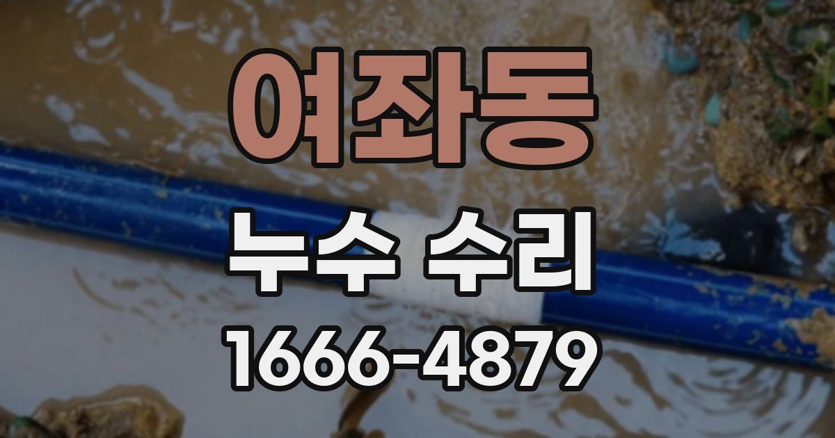 여좌동 누수 수리