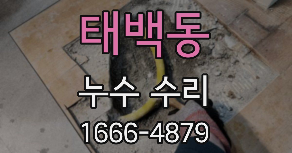 태백동 누수 수리