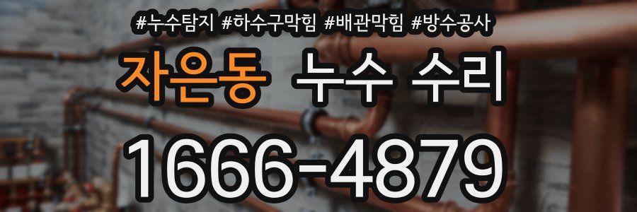 자은동 누수 수리