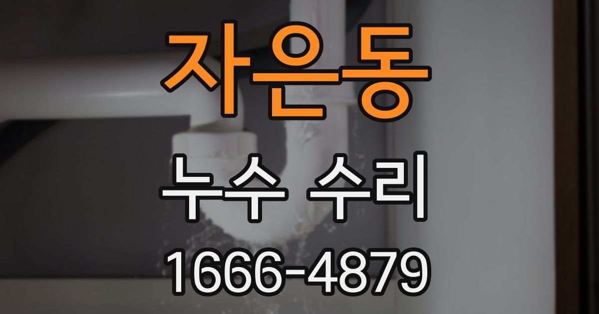 자은동 누수 수리